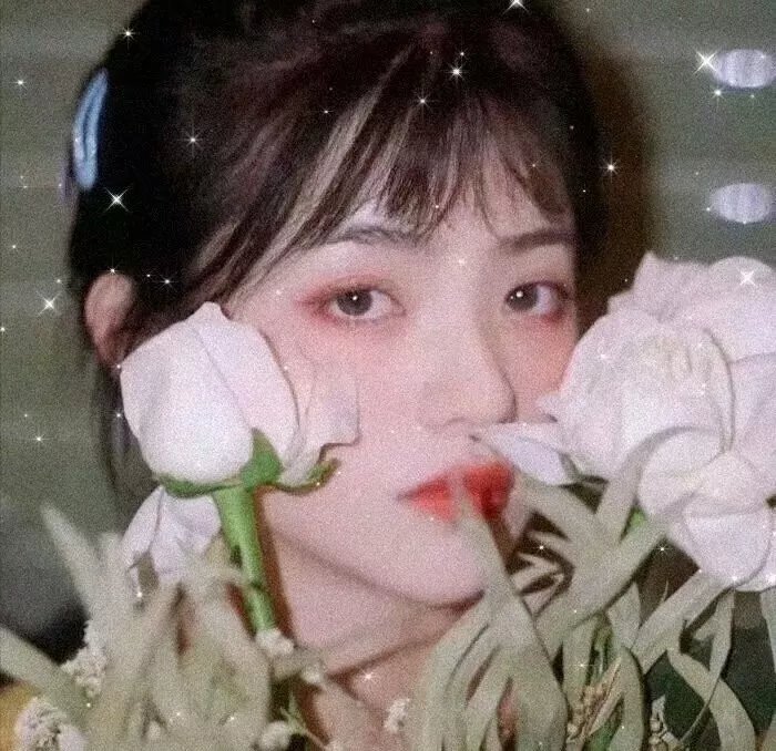 两个阿拉伯骑士