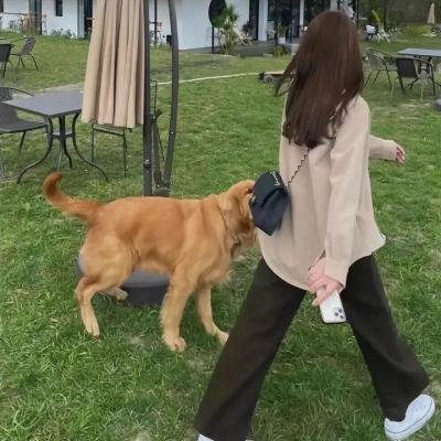 妈妈的笔记本